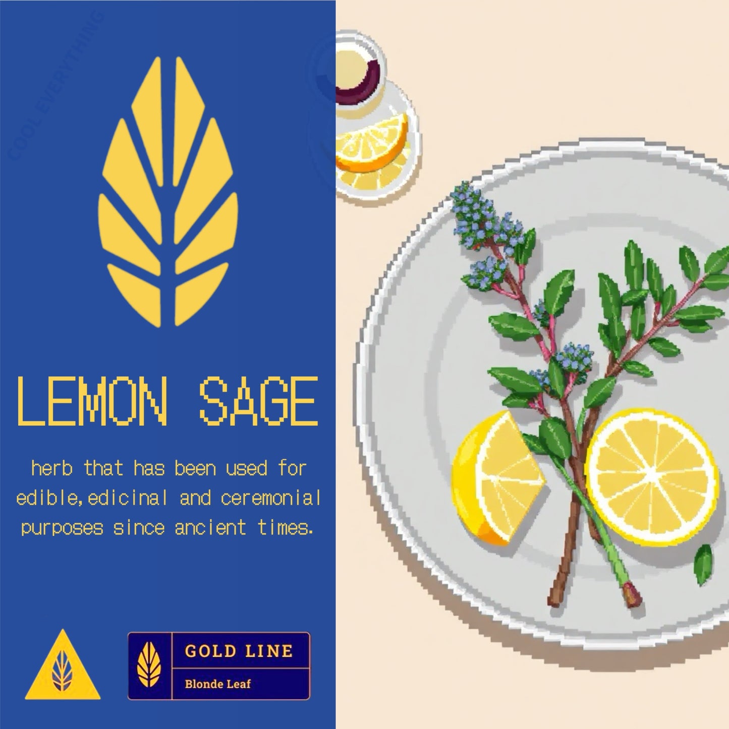 Lemon Sage / Gold Line