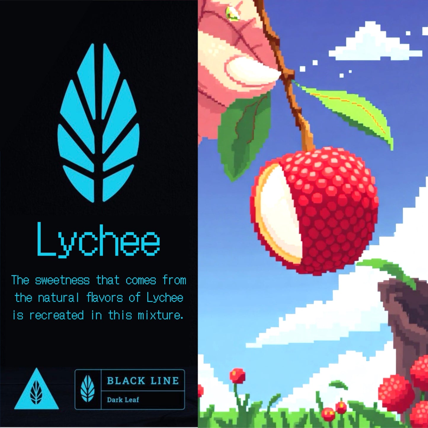 Lychee / Black Line