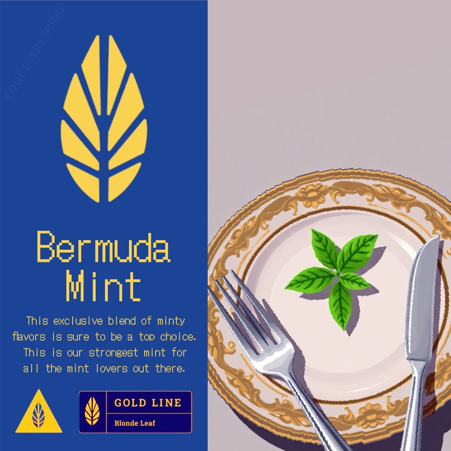 Bermuda Mint / Gold Line