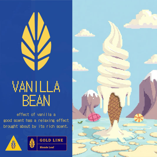 Vanilla Bean / Gold Line