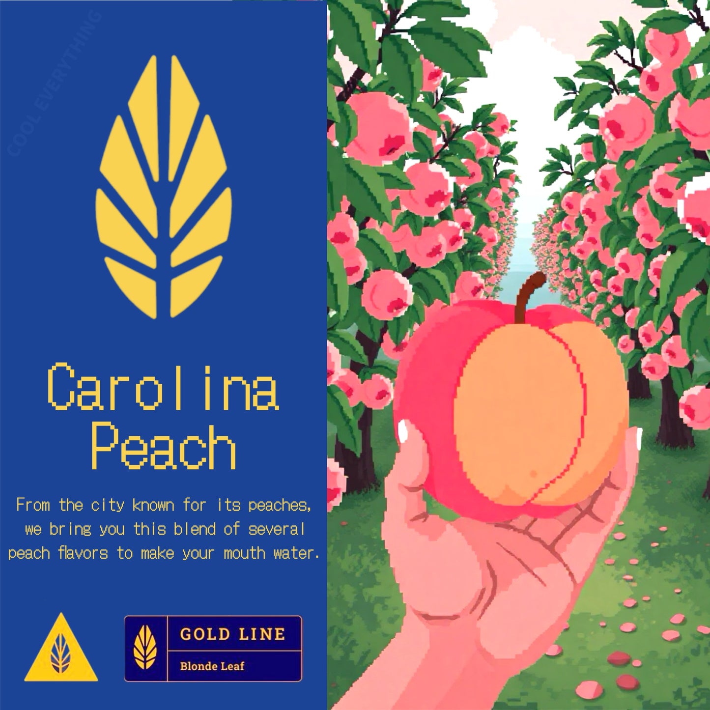 Carolina Peach / Gold Line