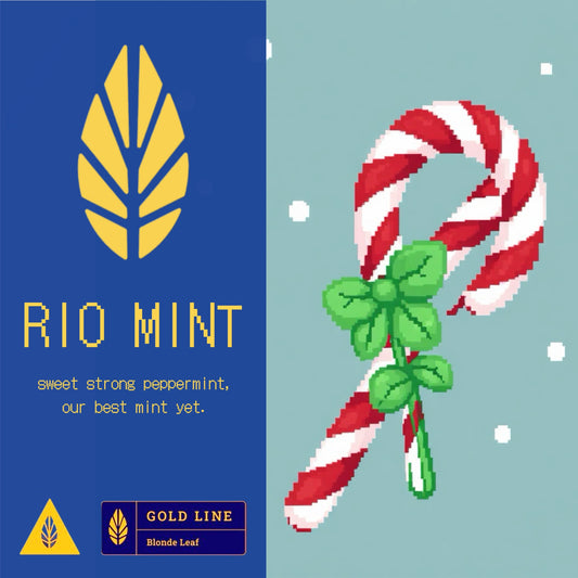 Rio Mint / Gold Line
