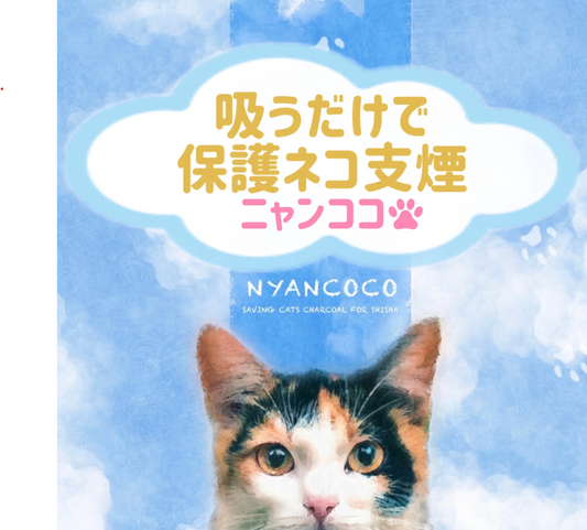 ニャンココ